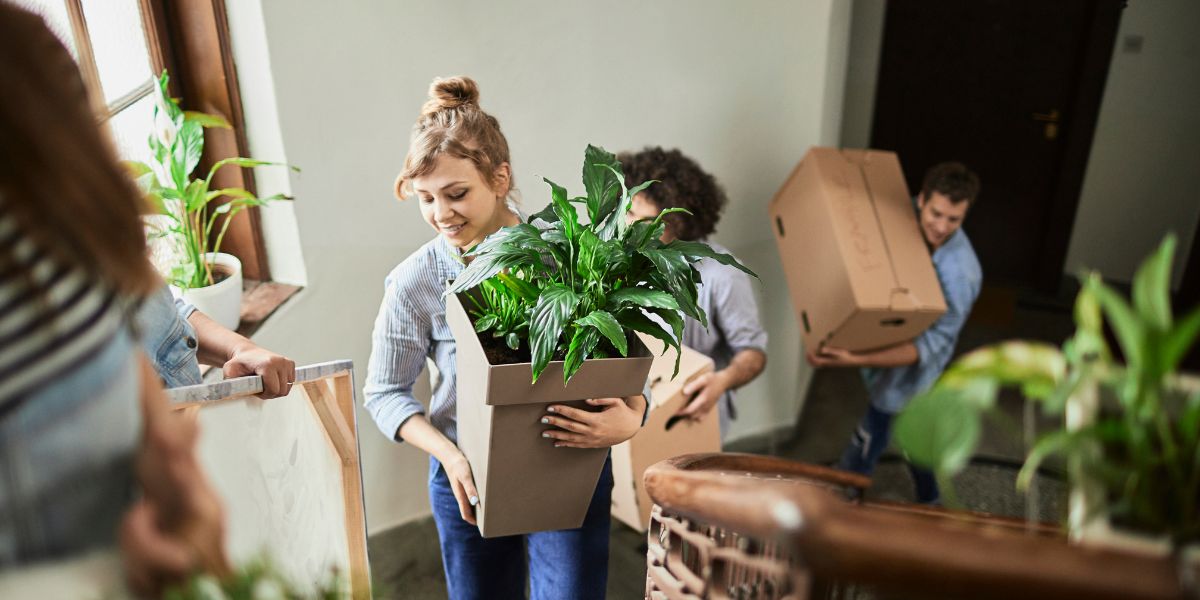 friends carry boxes and a potted plant up a stairwell during a move.