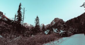 Aspen Homes For Sale