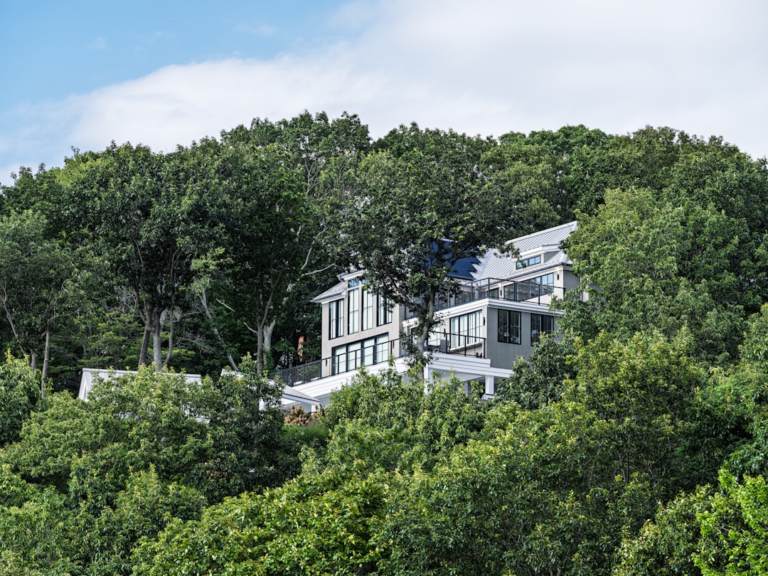The bright, sunlit exterior of a modern architectural home in Aspen, Colorado, showcasing its high-end appeal and integration with the natural mountain landscape.